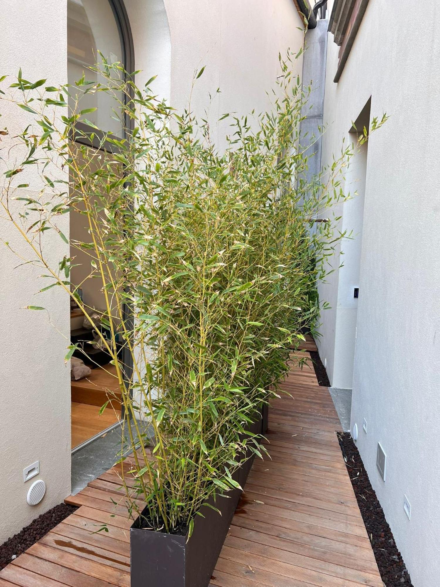 Spasimo Hotellerie 巴勒莫 外观 照片